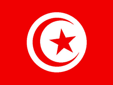 vive la turki